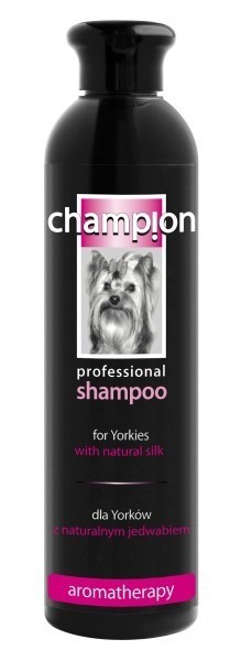 szampon dla psów york