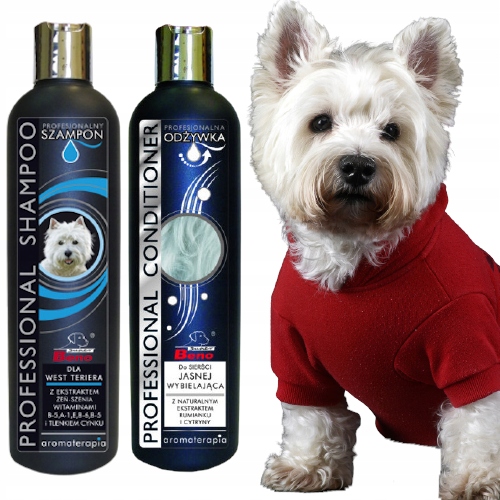 west highland white terrier jaki szampon